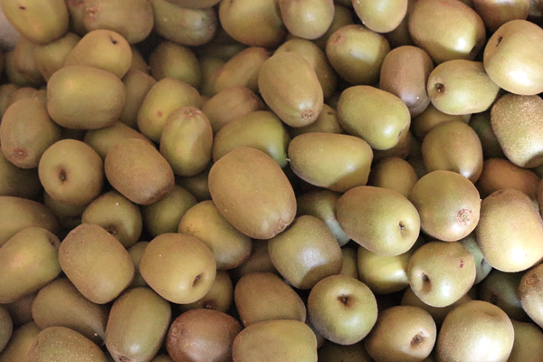 wechat_2025-09-19_112059_339_副本.png wechat_2025-09-19_112059_339_副本.png