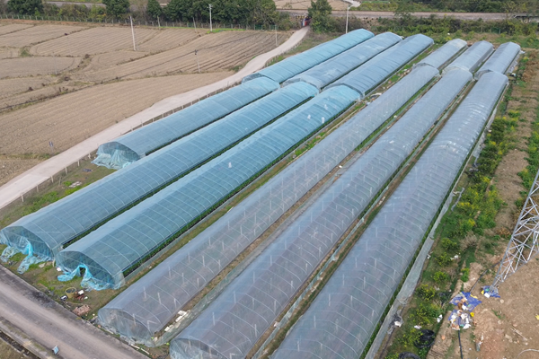 ScreenShot_2025-12-29_100207_777_副本.png ScreenShot_2025-12-29_100207_777_副本.png