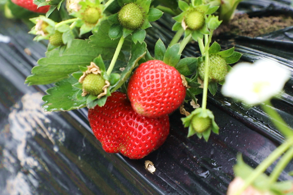 ScreenShot_2025-12-29_100600_825_副本.png ScreenShot_2025-12-29_100600_825_副本.png