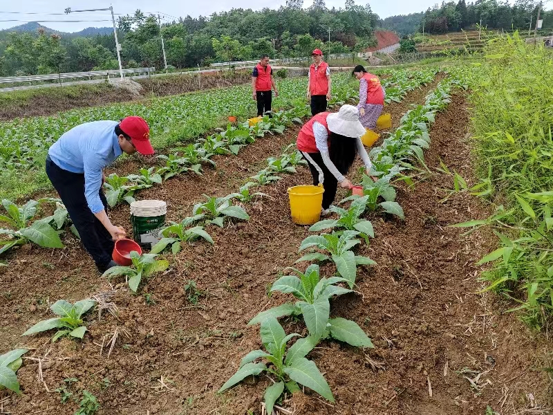 2926d9b76265c5455c7fcf4b60987e8.jpg 2926d9b76265c5455c7fcf4b60987e8.jpg