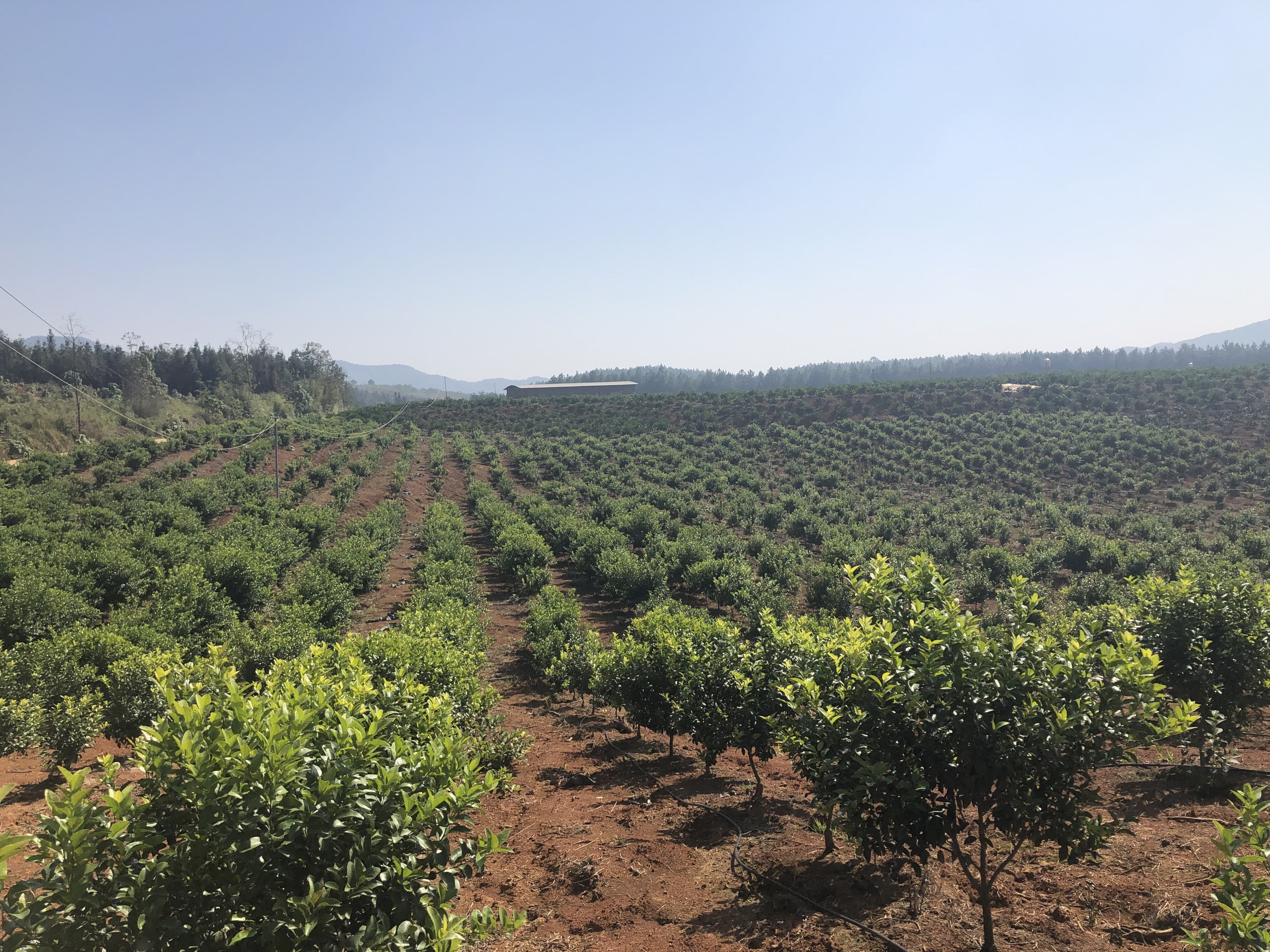 QQ图片20201117095038.jpg QQ图片20201117095038.jpg