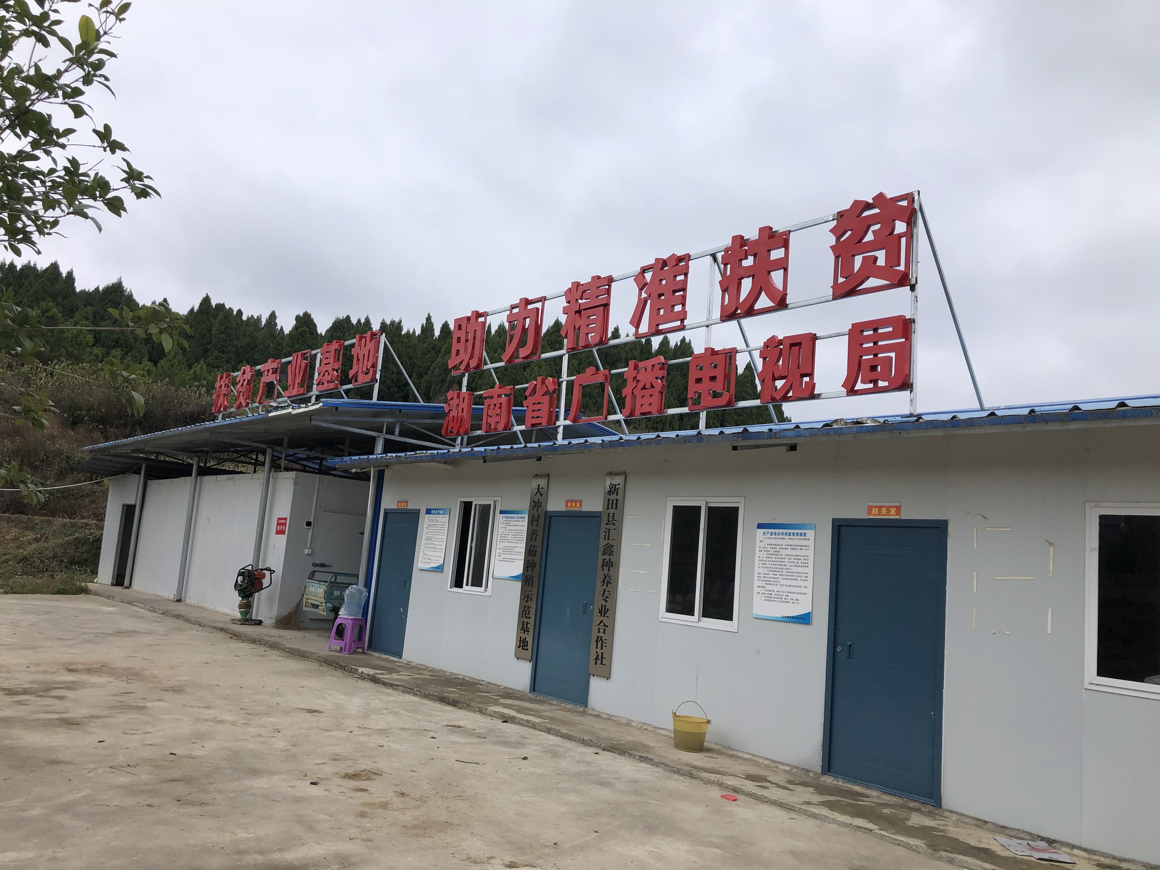 IMG_7278.JPG IMG_7278.JPG