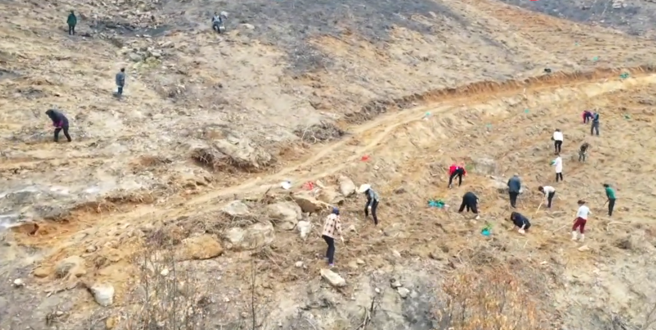 图片5.png 图片5.png