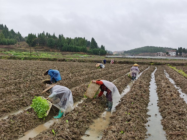 QQ图片20210310193112.jpg QQ图片20210310193112.jpg