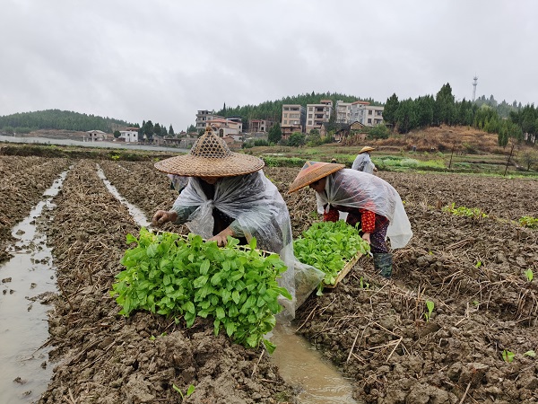 QQ图片20210310193109.jpg QQ图片20210310193109.jpg