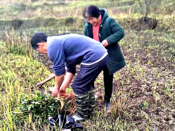 微信图片_20210308103300.jpg 微信图片_20210308103300.jpg