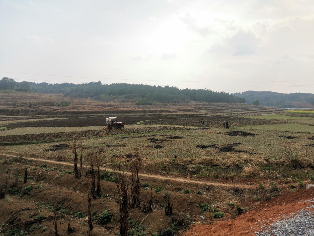 图片1.png 图片1.png