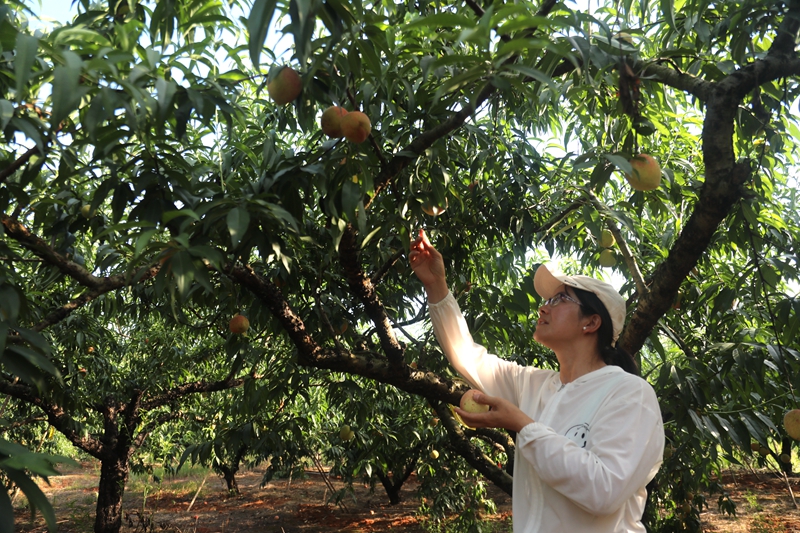 KR8A4464.JPG KR8A4464.JPG