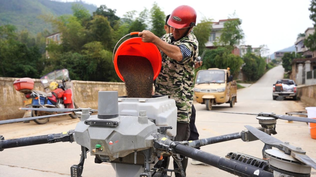 图片4.png 图片4.png