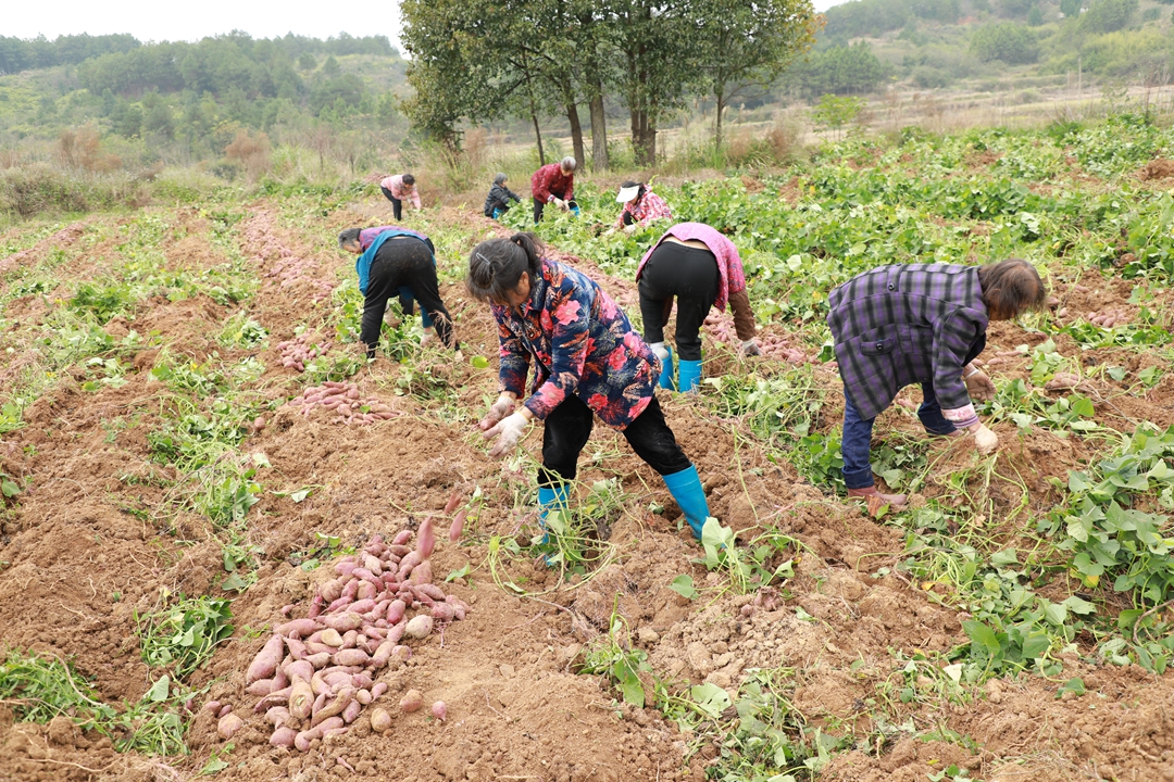 044A9098.JPG 044A9098.JPG