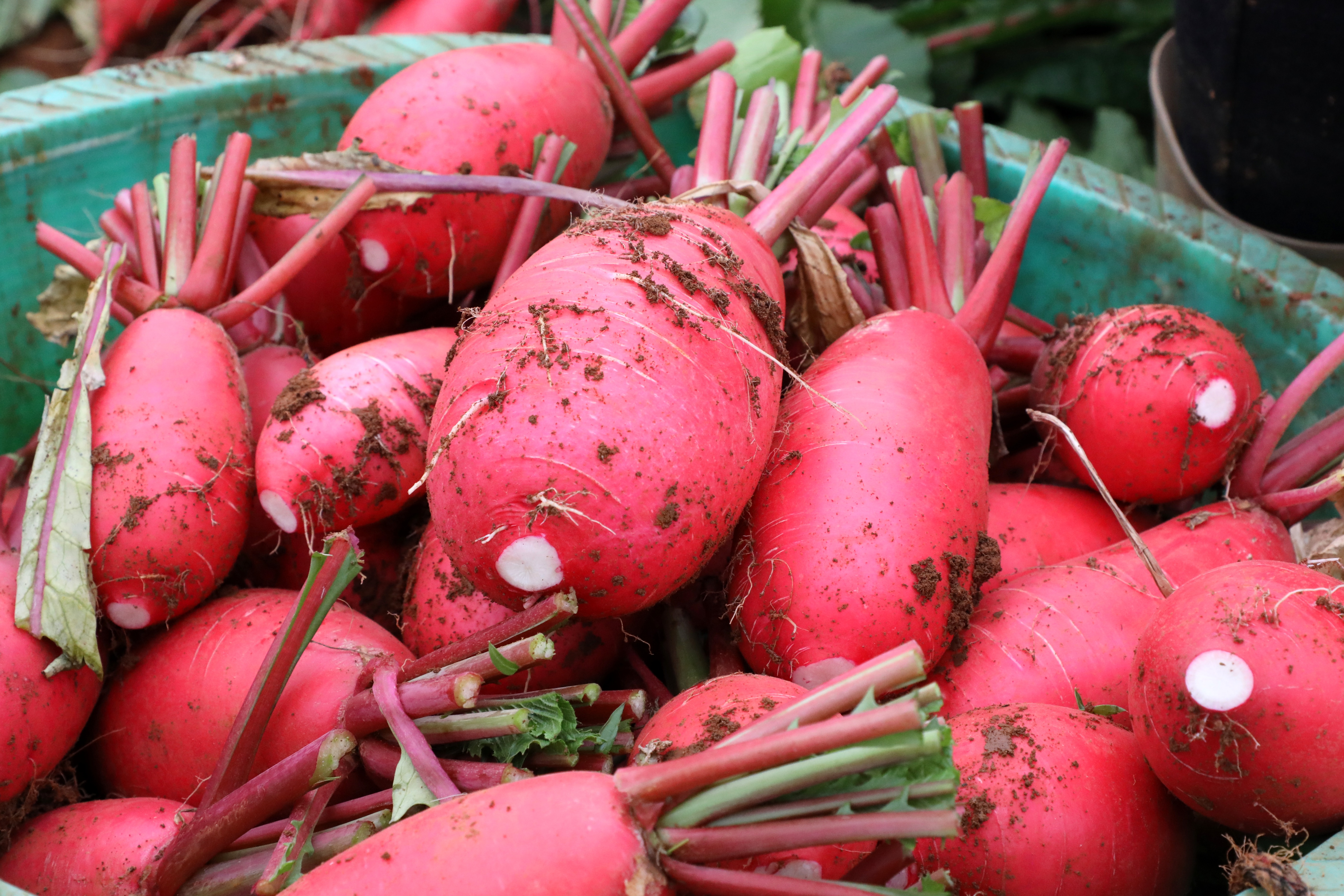 044A1916.JPG 044A1916.JPG