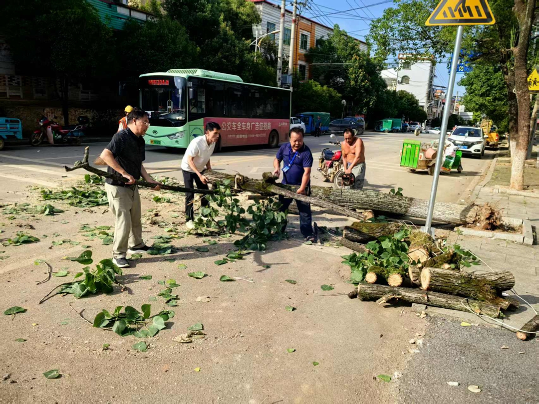 微信图片_20250626154546.jpg 微信图片_20250626154546.jpg