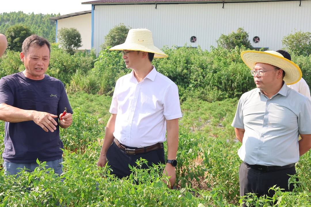 2D6A0201.JPG 2D6A0201.JPG