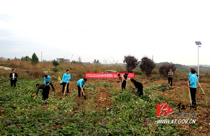 IMG_2589.JPG IMG_2589.JPG