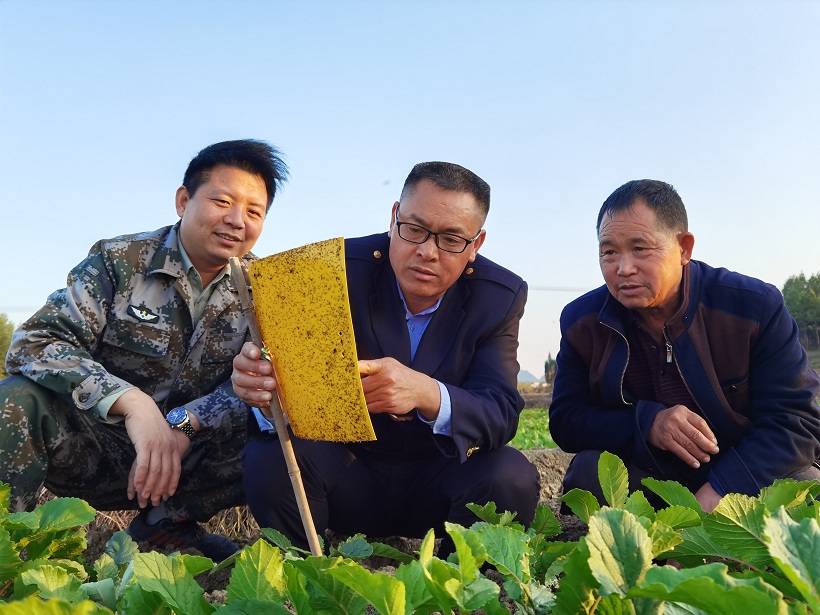 IMG_20201111_170530.jpg IMG_20201111_170530.jpg