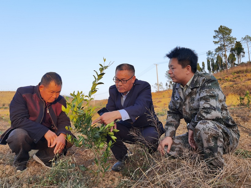 IMG_20201111_171443.jpg IMG_20201111_171443.jpg