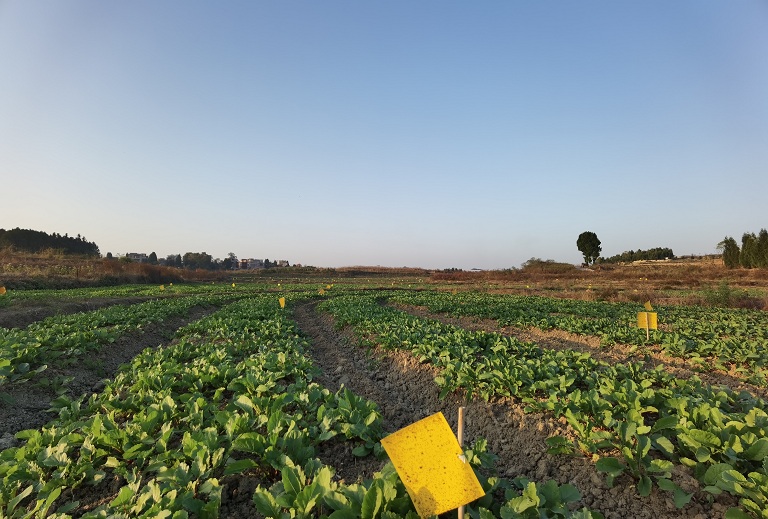 IMG_20201111_170221.jpg IMG_20201111_170221.jpg