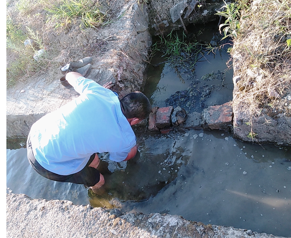 图片2.jpg 图片2.jpg