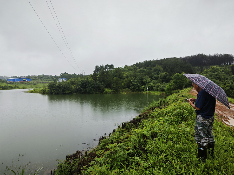 图片4.png 图片4.png