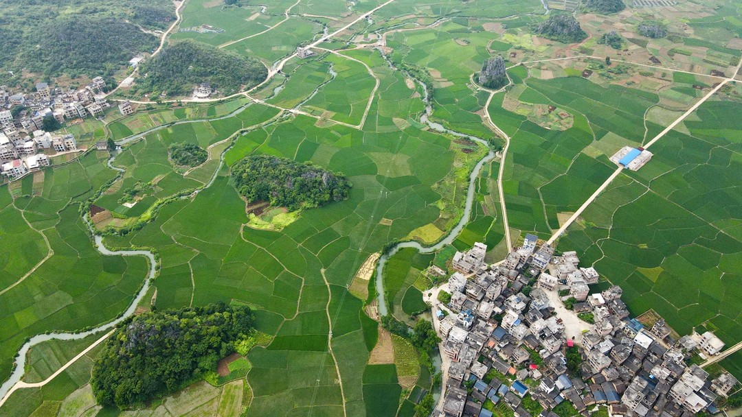 石羊2.jpg 石羊2.jpg