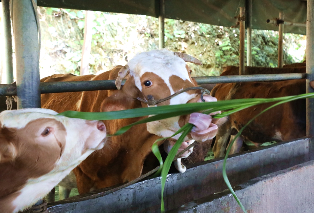 044A9563.JPG 044A9563.JPG