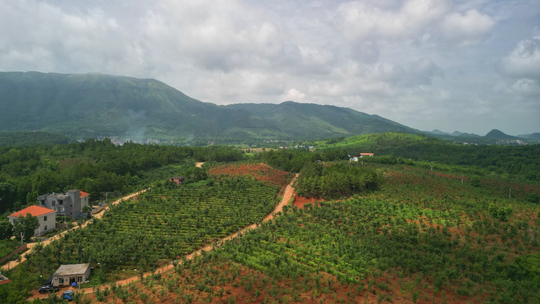 DJI_0729.JPG DJI_0729.JPG