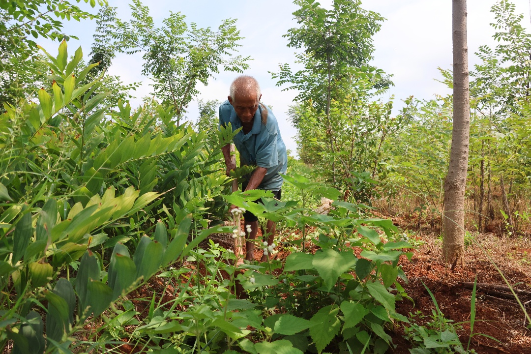 2D6A0005.JPG 2D6A0005.JPG