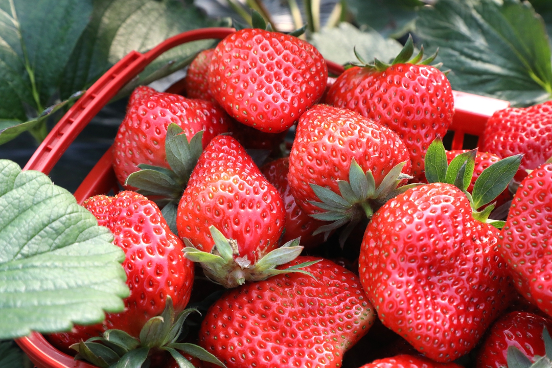 044A3255_副本.jpg 044A3255_副本.jpg