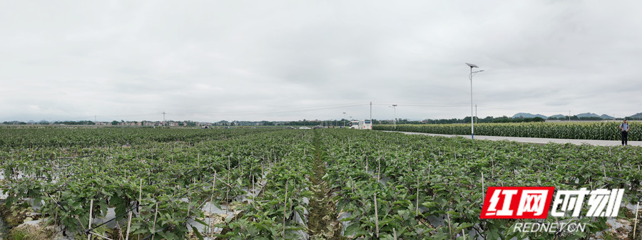 DJI_20260530103950_0688_D_副本.jpg